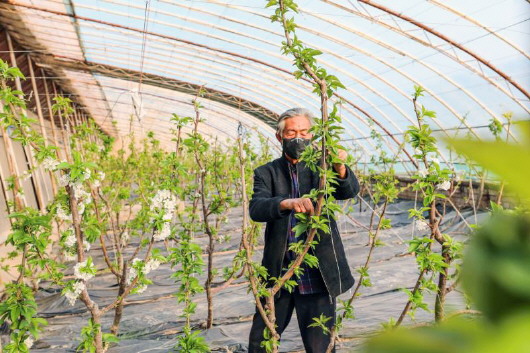 銅城復蘇：春光明媚，邀你共賞芳華（組圖）