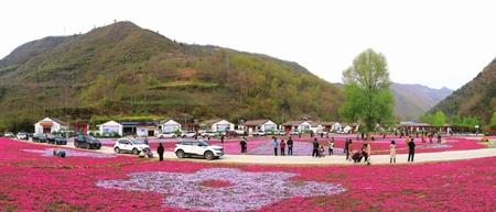美麗隴南，風(fēng)景這邊獨好——隴南市推進(jìn)鄉(xiāng)村旅游高質(zhì)量發(fā)展綜述