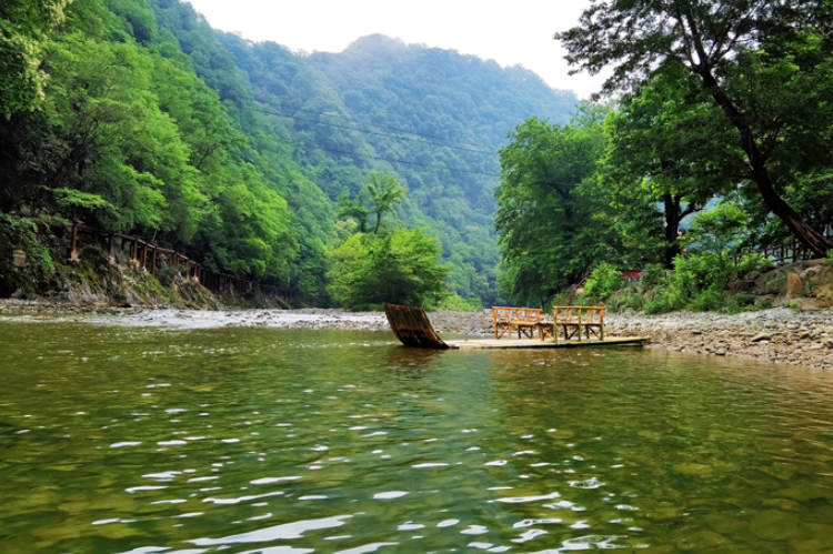 【小隴畫報(bào)·95期】康縣：來陽壩，“森”呼吸，我“氧”你