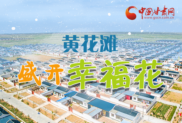 【跟著總書記看甘肅】長圖|武威黃花灘盛開幸?；?