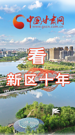 圖解|崛起！新區(qū)十年