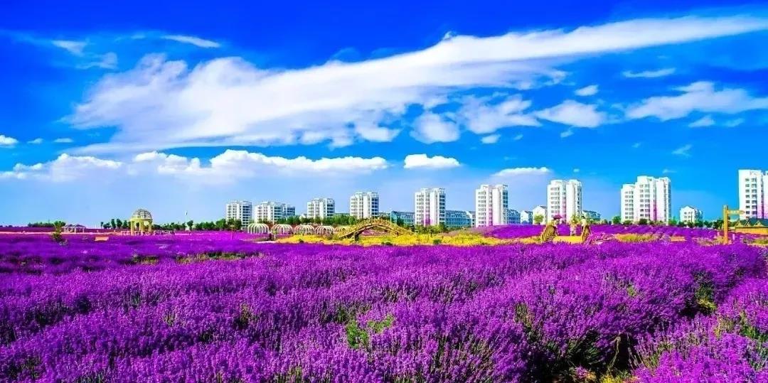 喜訊！金昌蟬聯(lián)全國文明城市