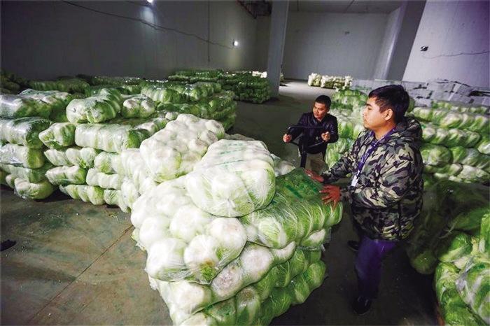 蘭州市已儲備1萬噸冬春蔬菜以耐貯存、易周轉(zhuǎn)品種為主