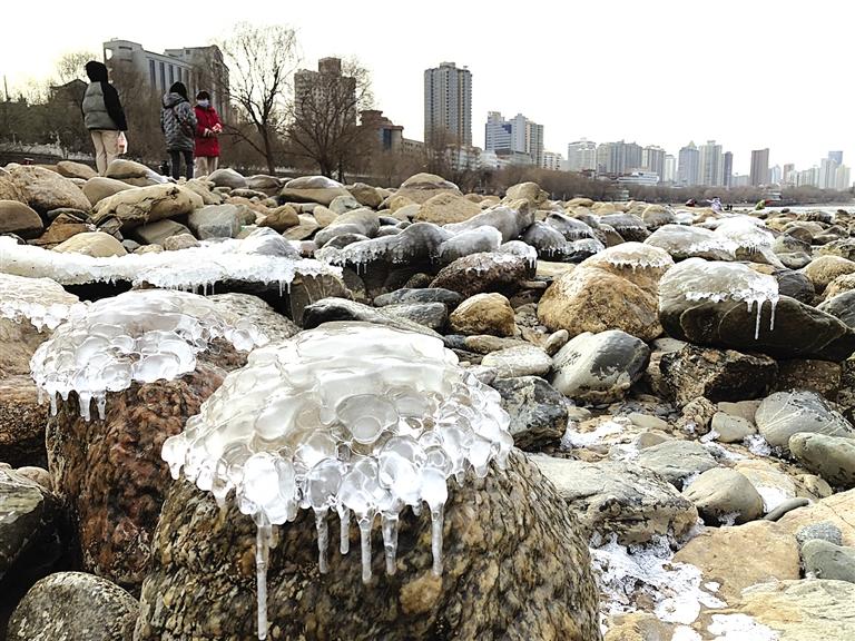 蘭州：水母上河灘？