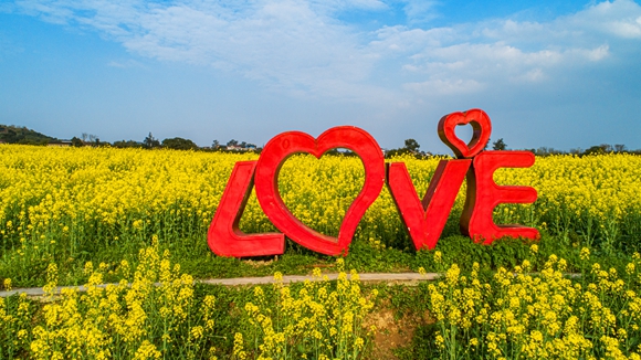 “l(fā)ove”創(chuàng)意拍照墻。廖濤 攝