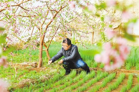 甘肅：時令催人耕種忙，不誤田間一季春