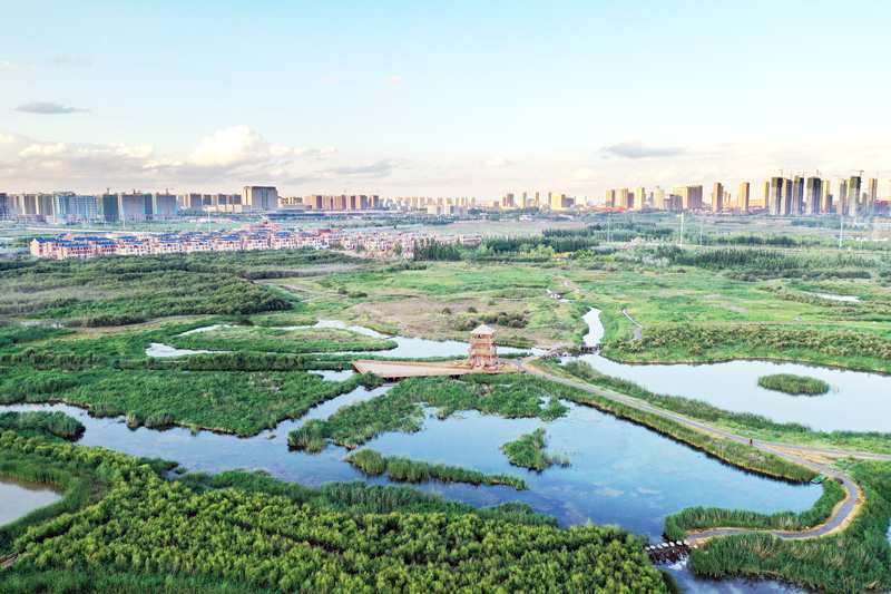 蘭州大學“實習基地”落戶蘭州新區(qū)