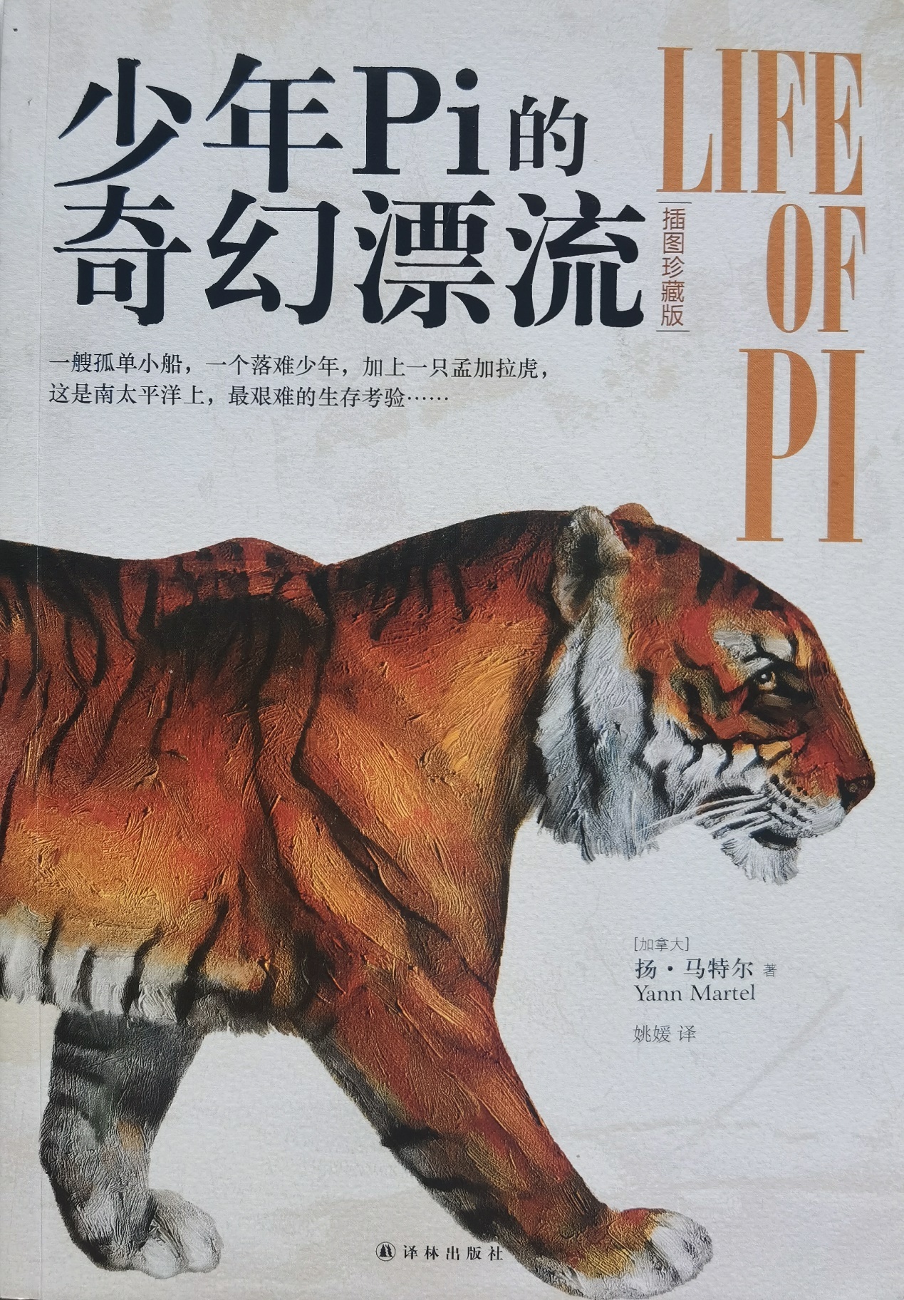插圖1：揚(yáng)？馬特爾的小說《少年pi的奇幻漂流》封面