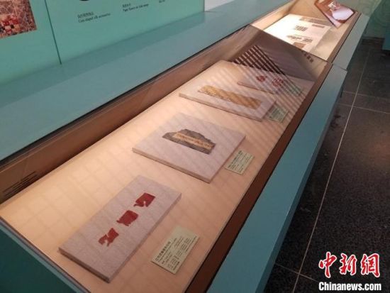 圖為展覽現(xiàn)場?！《鼗脱芯吭汗﹫D