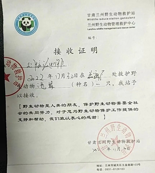 受到救助的池鷺被蘭州野生動(dòng)物保護(hù)站接收。（蘭州市公安局七里河分局供圖）
