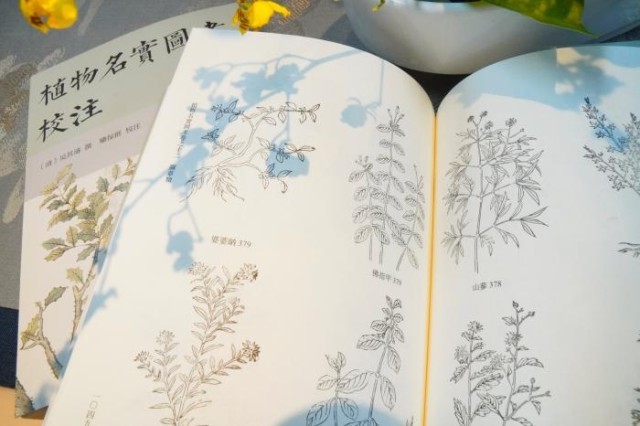 《植物名實(shí)圖考校注》內(nèi)頁(yè)。圖片來(lái)源：中華書局供圖
