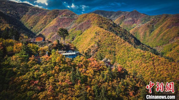 深秋，位于蘭州市榆中縣的興隆山，似打翻調(diào)色板。金峯 攝