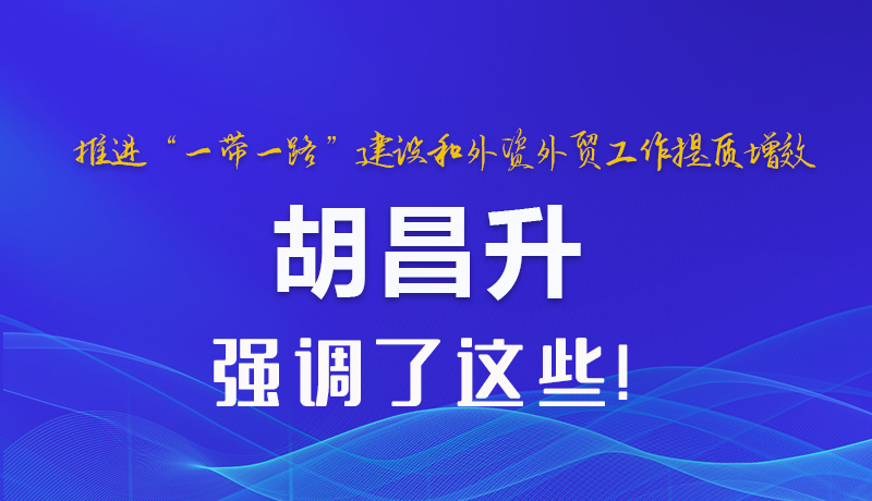 圖解|推進“一帶一路”建設和外資外貿(mào)工作提質(zhì)增效 胡昌升強調(diào)了這些 