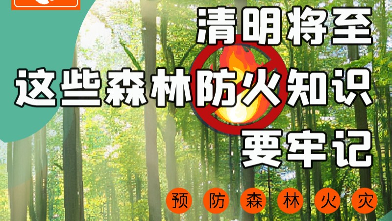 【甘快看】圖解|緊繃“安全弦”！清明，這些森林防火知識(shí)要牢記