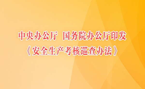 中共中央辦公廳 國(guó)務(wù)院辦公廳印發(fā)《安全生產(chǎn)考核巡查辦法》