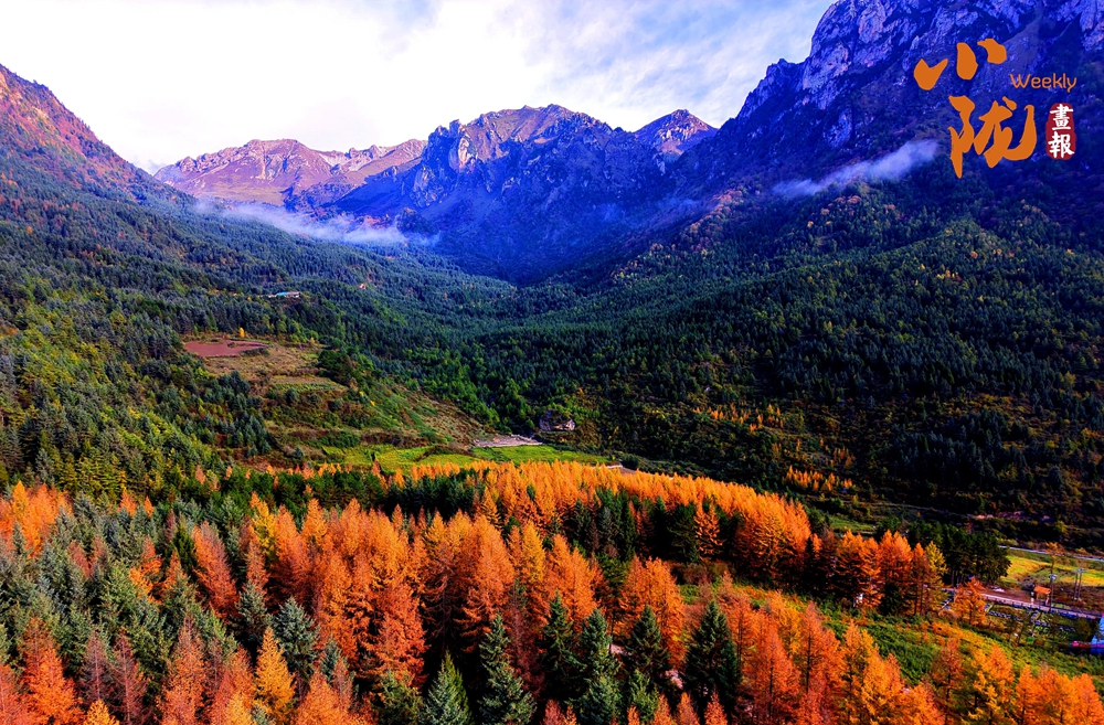 【小隴畫報·439期】舟曲：絢麗賽爾布 斑斕滿眼秋