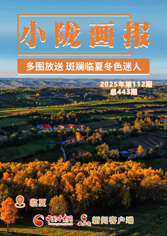 【小隴畫報·443期】多圖放送 斑斕臨夏冬色迷人