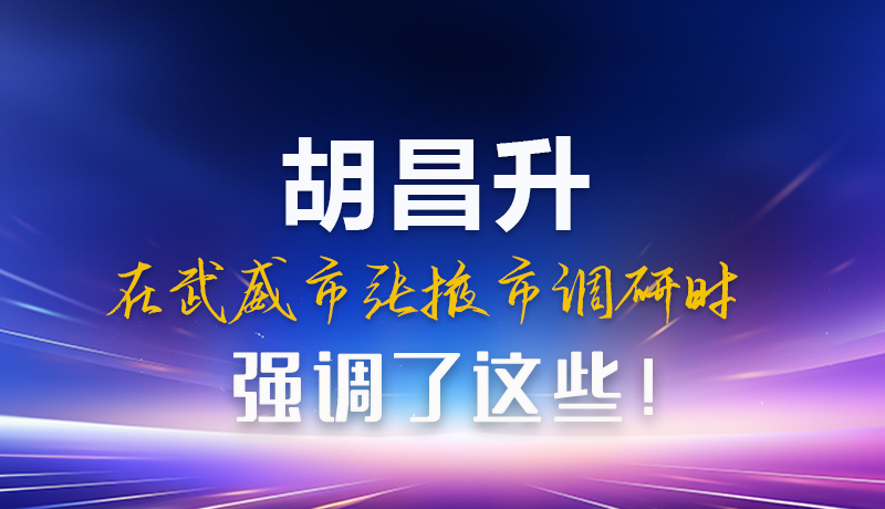 圖解|胡昌升在武威市張掖市調(diào)研時強調(diào)這些！