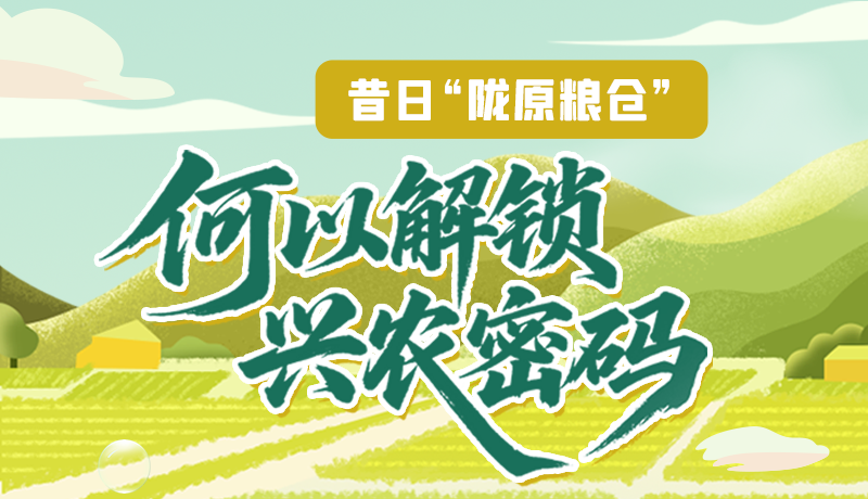 【理響中國·話隴點睛（3）】昔日“隴原糧倉”，何以解鎖“興農(nóng)密碼”